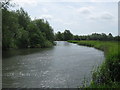 Great Stour near Westbere Marshes