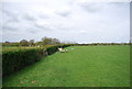 TQ8331 : High Weald Landscape Trail follows a hedge by N Chadwick