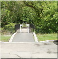 Footbridge over the Afon Lwyd, Pontnewynydd