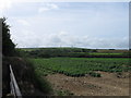 Wind turbines from Dolgey Post