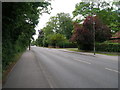 Cantley Lane, Doncaster