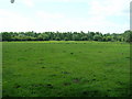 Farmland near Bessacarr