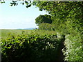 Footpath south of Dronfield