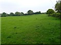 Fields near Eggardon Hill