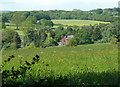 Hillside meadow by Cowly Lane