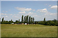 Farmland near Purleigh