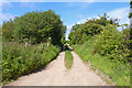 Footpath at Lower Pennington