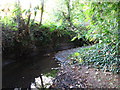 The Kyd Brook, Gosshill Wood (6)