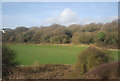 School playing field by the Hastings Line