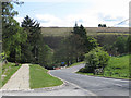 Moorland east of Goathland station