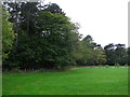 Field and woodland west of Pond Wood