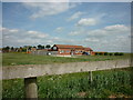 A cattery on Field Road, Crowle