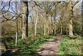 TQ3764 : LOOP and Cycle Route 21, Spring Park Woods by N Chadwick