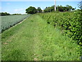 Field beside road to Mount Farm