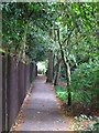 Footpath north of Little Thrift, BR5 (2)