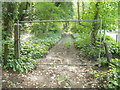 Blocked-off track along Trosnant Brook, Pontypool