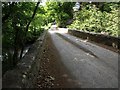 Bridge over the River Fowey