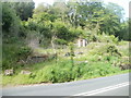 Abandoned roadside site, Old Furnace