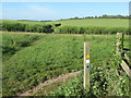 Footpath and bridleway junction near Eythorne