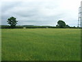 Farmland off Hatfield Lane