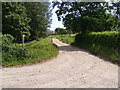 TG0622 : Footpath to the B1145 Dereham Road & delivery entrance to Old Oak Hall by Geographer