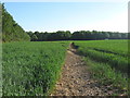 Footpath to Kettle Hill