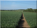 Footpath to Malmains Farm