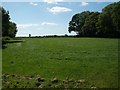 Rich late spring grassland near Holnest