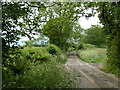 Farm track, Woodhouse Lane