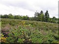 Stranisk Townland