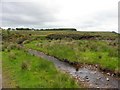 Stream, Tattymoyle Middle