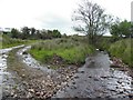 H4056 : Lane and stream, Tattymoyle Middle by Kenneth  Allen