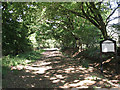 Byway to Nazeing Long Green