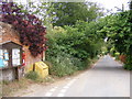 TM3050 : School Lane, Bromeswell & School Lane Postbox by Geographer