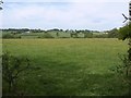 Field near Lower South Combe