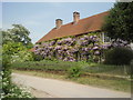 Wisteria on cottage at Warminghurst