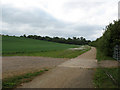 National Cycle Route 1 near Nazeing