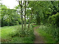 Footpath south of Station New Road