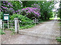 Gate to St Stephen