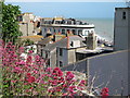 Robertson Street roofs