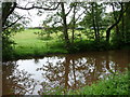 Canalside fields near Llangynidr