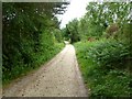 Bearwood, bridleway