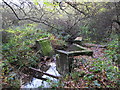 The Kyd Brook - Main Branch and a drain feeding it, on Crofton Heath