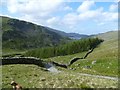 NY4610 : Wall above Haweswater by Michael Graham