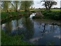 River Blackwater at Shelborn Bridge