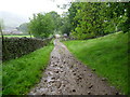 Track to Bouthwaite.