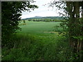 View from the re-routed Shropshire Way