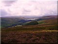 Heather moorland above Nidderdale.