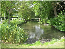 TL3852 : Harlton: The village pond by Nigel Cox