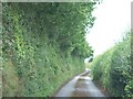 Lane along ridge south of Whiddon Farm